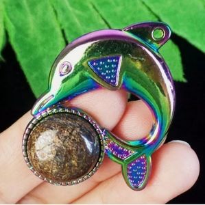 New Bronzite Carved Rainbow Silver Dolphin Pendant.